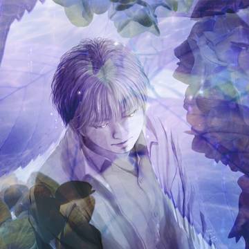 紫陽花