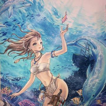 イルカとサンゴ礁