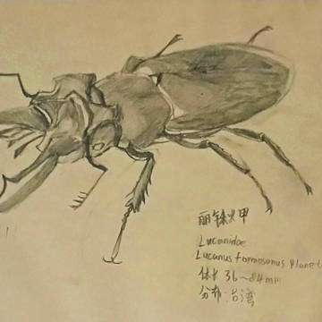 无题