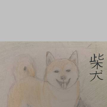 犬
