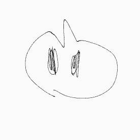 NIRUさん