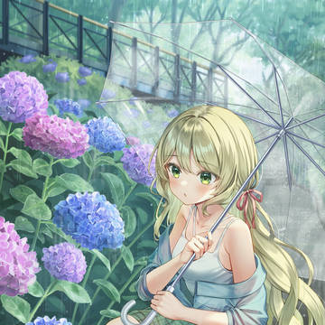 雨の紫陽花