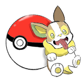 ワンパチ