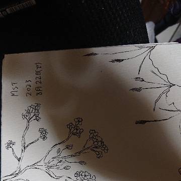 花の絵