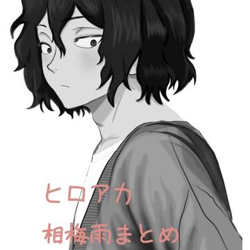 相梅雨まとめ
