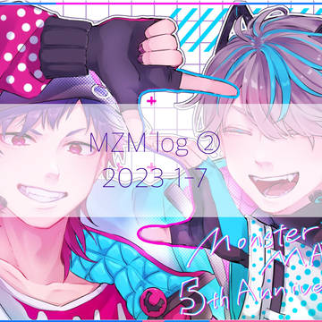 MZM log②