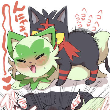 にゃん交尾