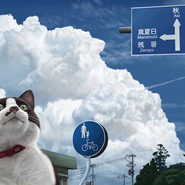 今年の夏は暑かったねぇ
