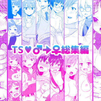 TS作品総集編DL開始