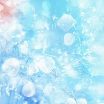 海の中〜綺麗に咲く花〜