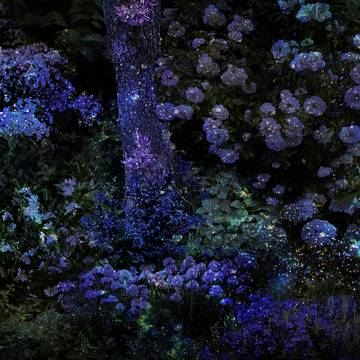 ウィームの森とお茶会