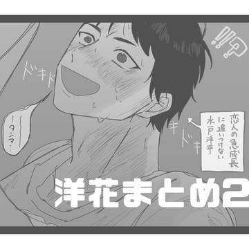 洋花2+α