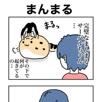 まんまる
