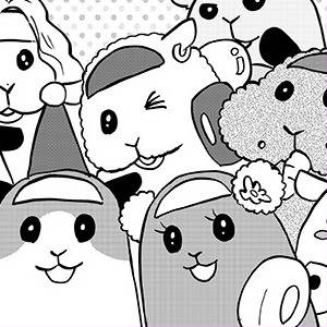 チョコは高級モルカーになりたい