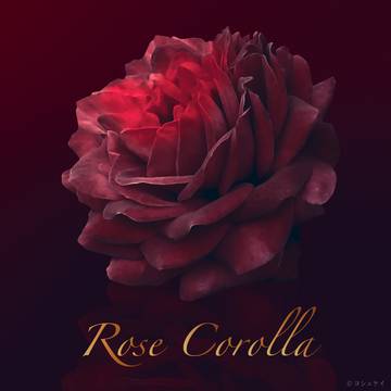Rose Corolla