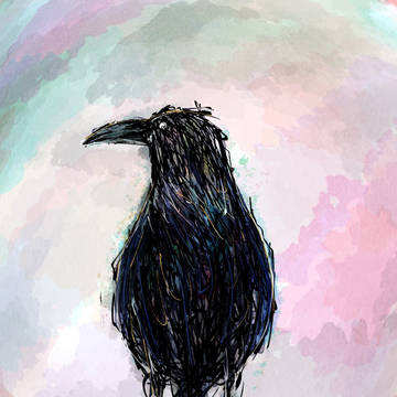 カラス