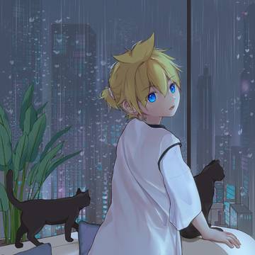 雨で濡れていますか？