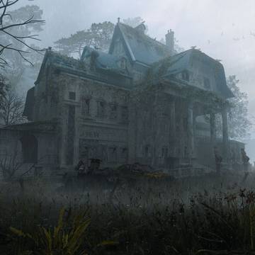 abandoned forest
