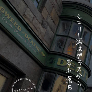 シェリー酒はグラスからこぼれ落ちる(decnプラス百合夢本)