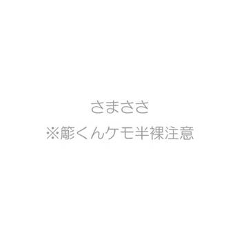 さまささ4