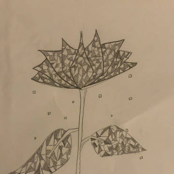 どうみても花ですよね。