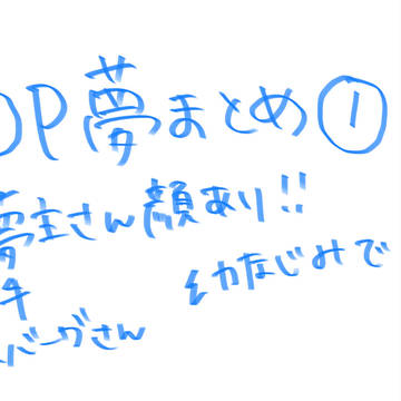 OP夢まとめ①※ｷｬﾌﾟｼｮﾝ