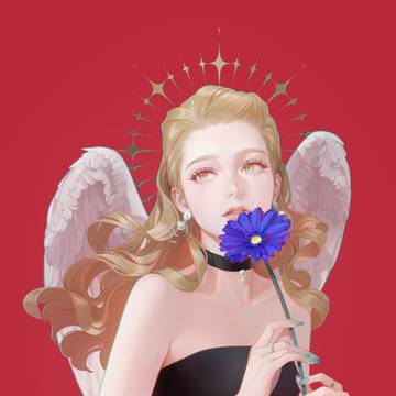 Gerbera