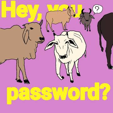 hey you, password?