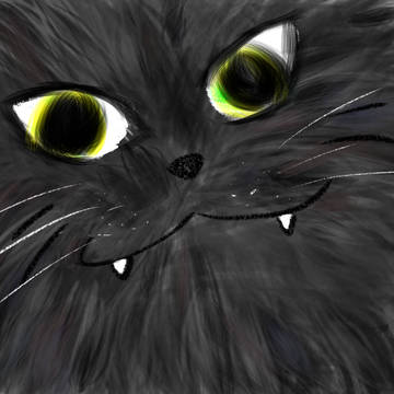 黒猫のドアップ