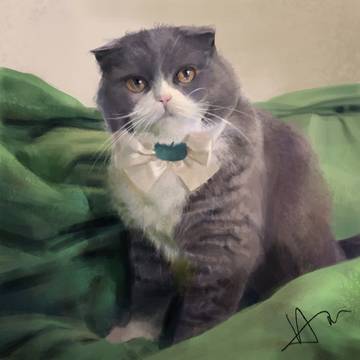 My lovely cat