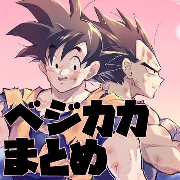 ベジカカまとめ