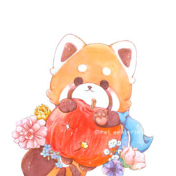 レッサーパンダちゃん🍎🌸𓂃𓈒𓏸︎︎︎︎