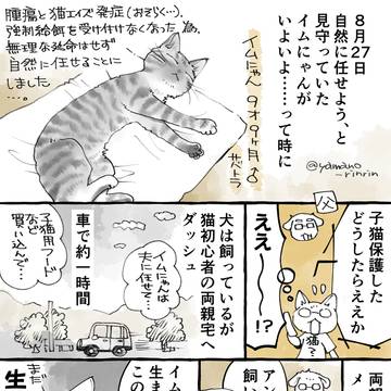 「旅立つ猫が、遺された者たちが寂しくないようにあれこれイベントを