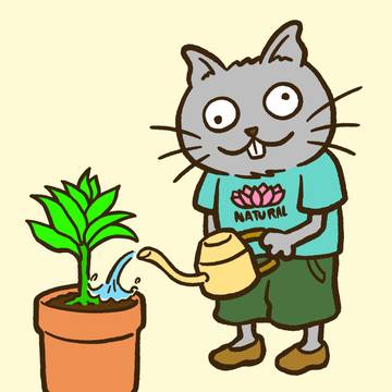 水やり🌱