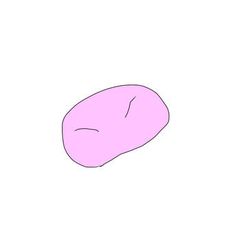 色違い