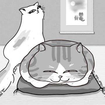 オッカタマと櫻子姐さん