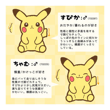 うちのマイぴか