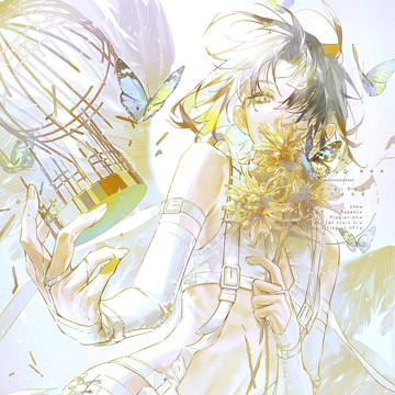 Emergence
