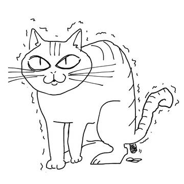 ウンチするネコ