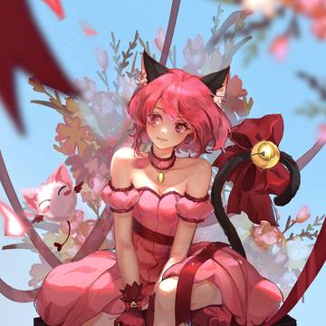 小莓猫猫！
