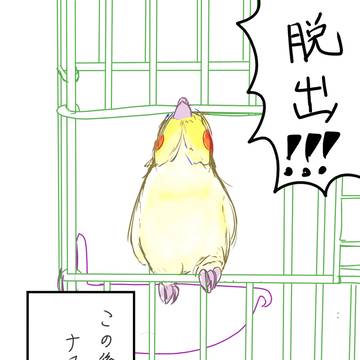 脱出