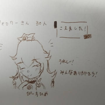 フォロワー様30人記念!!