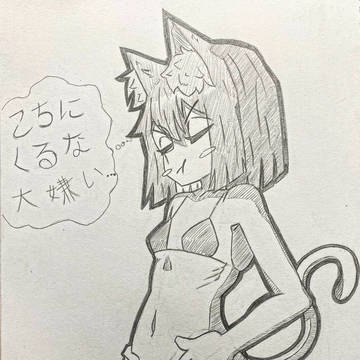 うちの猫
