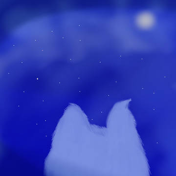 月と星と猫と