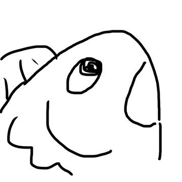 さかなー