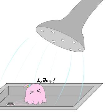 メンダコぼっち茶ん