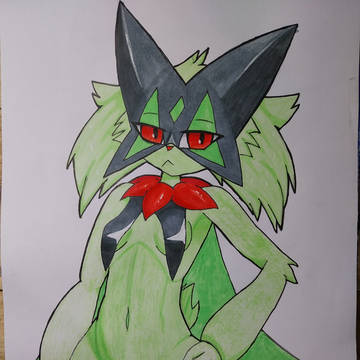 maskagato