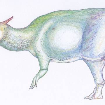 Rainbow Saurolophus