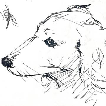 動物描いてました