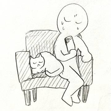 猫やるやる